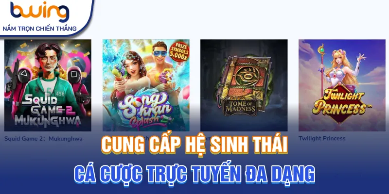 Cung cấp hệ sinh thái cá cược hấp dẫn đa dạng