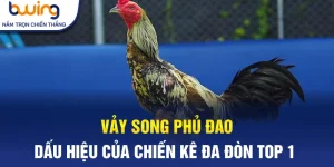 vảy phủ song đao